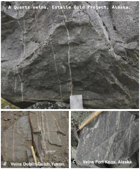 Photo comparing the quartz veins to similar quartz gold bearing veins at the Victoria Gold Dublin Gulch project in the Yukon and quartz gold bearing veins at the Fort Knox gold project in Alaska