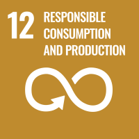 United Nations Sustainable Development Goals image 12 responsible consumption and production