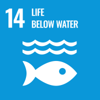 United Nations Sustainable Development Goals image 14 life below water
